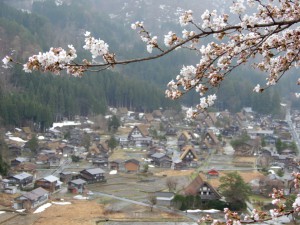 DSCN2927_1
