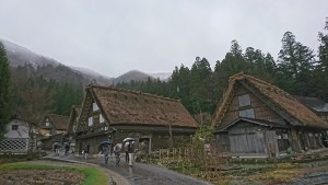 DSC_8227