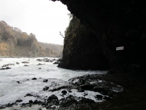 IMG_0940